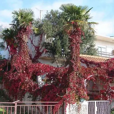 In - Makarska Riviera 43536 Lägenhet Gradac (Split-Dalmatia)